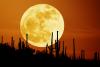 Moon Light alsunna.org (7)